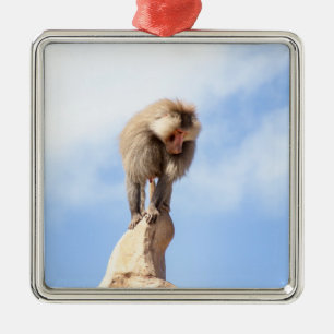 Affe Baboon auf einem Berg Ornament Aus Metall