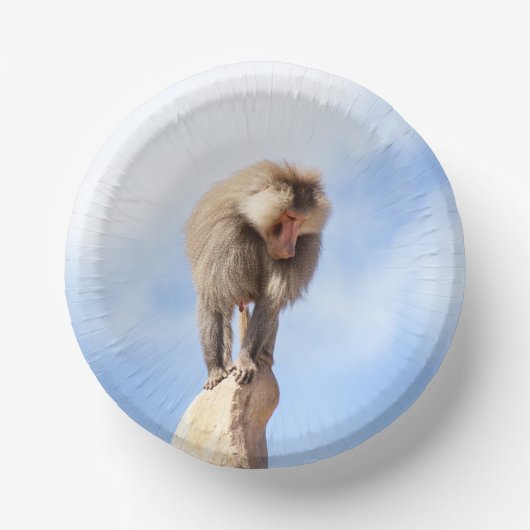 Affe Baboon auf einem Berg Pappteller (Vorderseite)