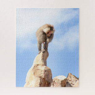 Affe Baboon auf einem Berg Puzzle