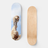 Affe Baboon auf einem Berg Skateboard (Vorderseite)