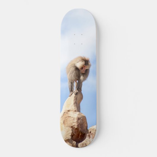 Affe Baboon auf einem Berg Skateboard (Vorderseite)