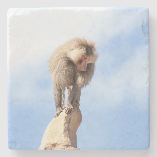 Affe Baboon auf einem Berg Steinuntersetzer (Vorderseite)