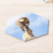 Affe Baboon auf einem Berg Untersetzer (angewinkelt)