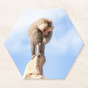 Affe Baboon auf einem Berg Untersetzer