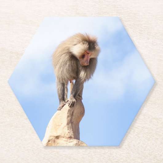 Affe Baboon auf einem Berg Untersetzer (Vorderseite)