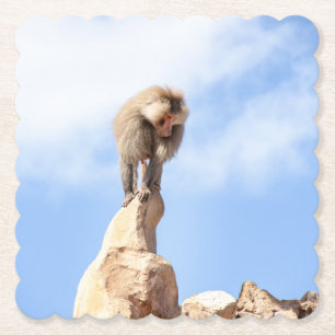 Affe Baboon auf einem Berg Untersetzer