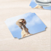 Affe Baboon auf einem Berg Untersetzer (angewinkelt)