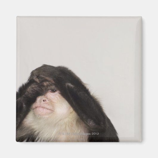 Affe bedeckt die Augen Magnet (Vorne)