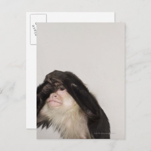 Affe bedeckt die Augen Postkarte (Vorne/Hinten)