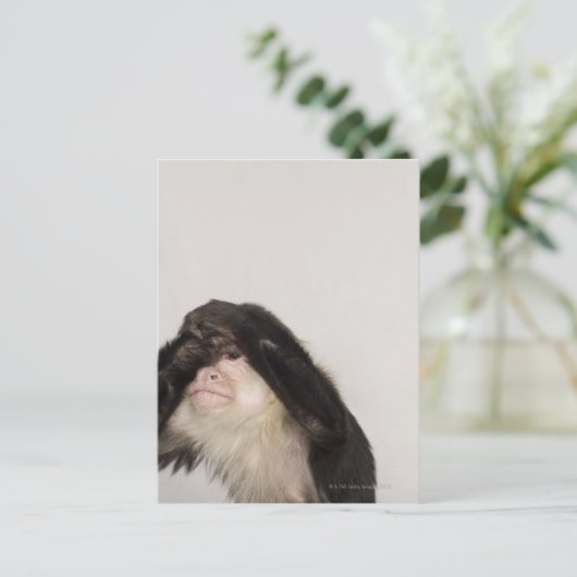 Affe bedeckt die Augen Postkarte (Stehend Vorderseite)