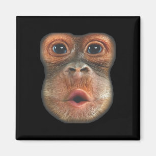 Affe bläst Bauch Gesicht  Magnet