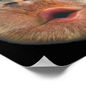 Affe bläst Bauch Gesicht Poster (Ecke)