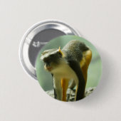 Affe Button (Vorne & Hinten)