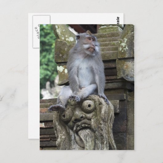 Affe, der an einer Statue in Bali sitzt Postkarte (Vorne/Hinten)