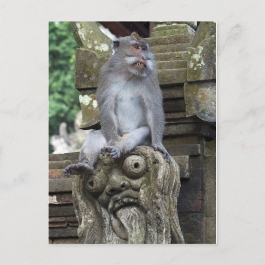 Affe, der an einer Statue in Bali sitzt Postkarte (Vorderseite)