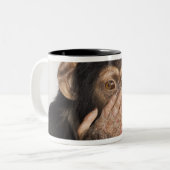 Affe, der sein Gesicht reibt Zweifarbige Tasse (Vorderseite Links)