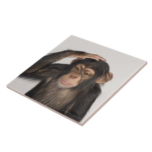 Affe, der seinen Kopf verkratzt Fliese (Seite)