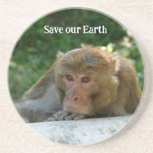 Affe - Großvater Getränkeuntersetzer