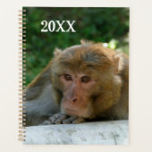 Affe - Großvater Planer (Vorderseite)