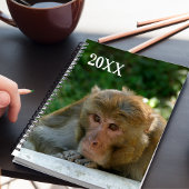 Affe - Großvater Planer