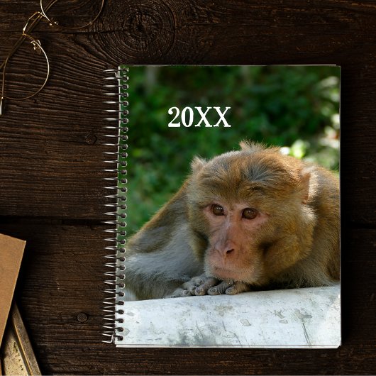 Affe - Großvater Planer