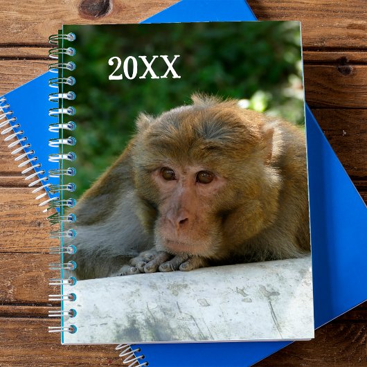 Affe - Großvater Planer