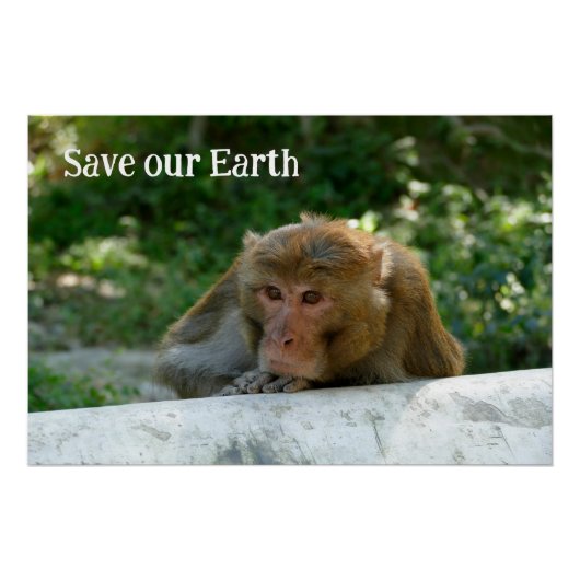 Affe - Großvater Poster (Vorderseite)