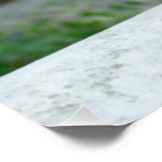 Affe - Großvater Poster (Ecke)