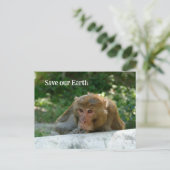 Affe - Großvater Postkarte (Stehend Vorderseite)