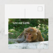 Affe - Großvater Postkarte (Vorne/Hinten)