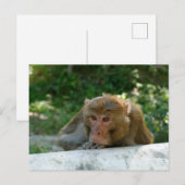 Affe - Großvater Postkarte (Vorne/Hinten)