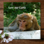 Affe - Großvater Steinuntersetzer