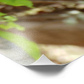 Affe - Ich bin so müde Fotodruck (Ecke)