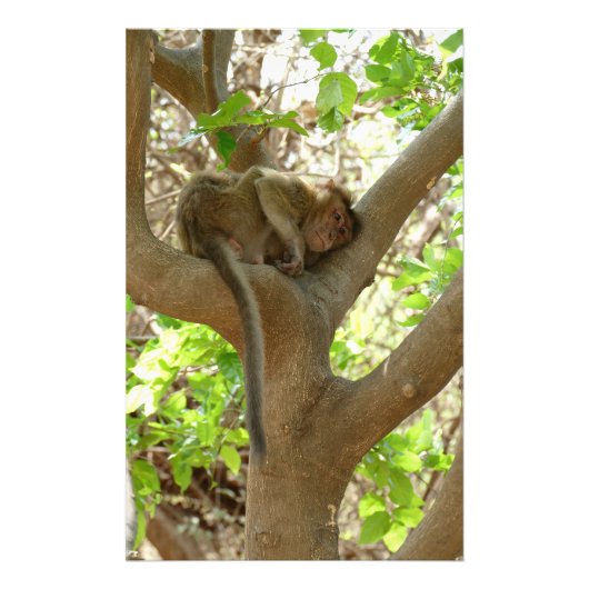 Affe - Ich bin so müde Fotodruck (Vorne)