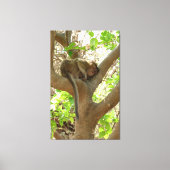 Affe - Ich bin so müde Leinwanddruck (Vorderseite)