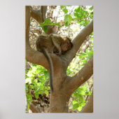 Affe - Ich bin so müde Poster (Vorne)