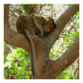 Affe - Ich bin so müde Poster (Vorderseite)