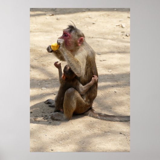 Affe - Ich wollte auch etwas Poster (Vorne)
