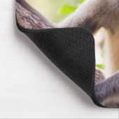 Affe im Dschungel des Ranthamborner Nationalparks Mousepad (Ecke)