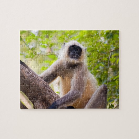 Affe im Dschungel des Ranthamborner Nationalparks Puzzle (Horizontal)