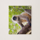 Affe im Dschungel des Ranthamborner Nationalparks Puzzle (Vertikal)