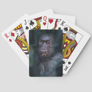Affe im Dschungel Spielkarten