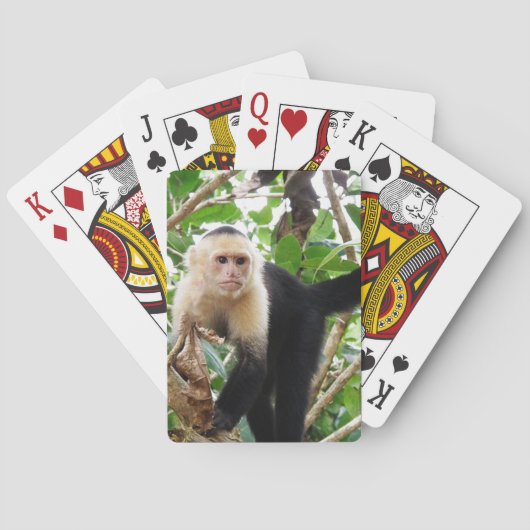 Affe in Costa Rica Spielkarten (Rückseite)