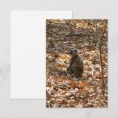 Affe in der trockenen Jahreszeit (Vorne/Hinten)