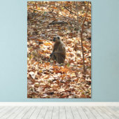 Affe in der trockenen Jahreszeit Leinwanddruck (Insitu (Holzboden))