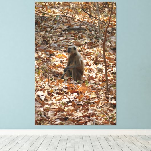 Affe in der trockenen Jahreszeit Leinwanddruck (Insitu (Holzboden))