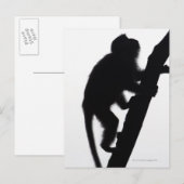 Affe in einem Baum, Halbinsel Railay, Postkarte (Vorne/Hinten)