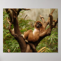 Affe in einer Baumkanvas