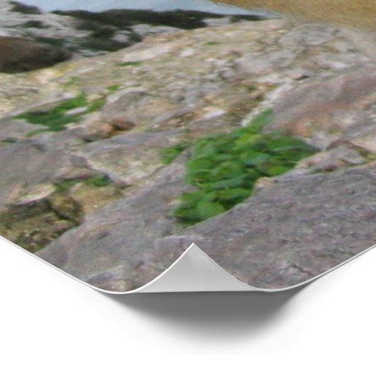 Affe in Gibralter Poster (Ecke)