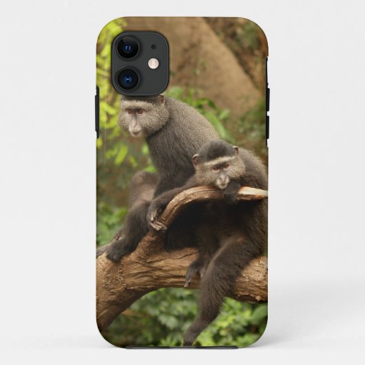 Affe iPhone 5 Case-Mate iPhone Hülle (Rückseite)
